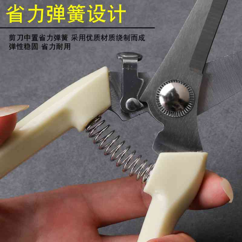 园艺修枝剪花剪花艺剪园林果树盆栽修花枝剪家用采摘专用神器剪刀