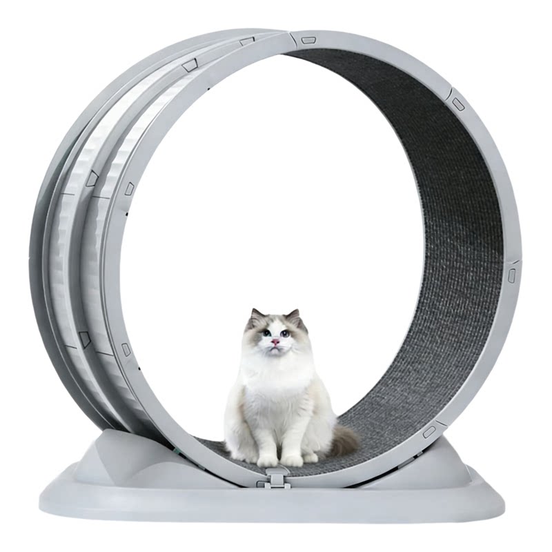 猫咪宠物猫跑步机跑步滚轮静音运动减肥健身塑料跑道大型玩具用品