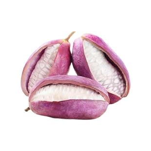 紫色八月瓜种籽八月炸种孑野香蕉籽木通九月黄水果甜瓜八月瓜种子