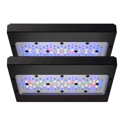 美国海水珊瑚灯led灯支架照明灯