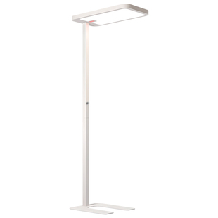 落地护眼灯儿童台灯学习专用立式大路灯书桌写作业学生读书大台风