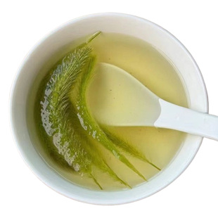 狗尾草新鲜现挖现发带根带叶全草药用中药材儿童玩具diy50支包邮