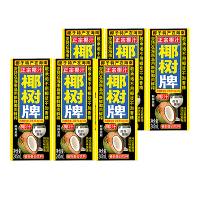 正宗椰树牌椰汁245ml*24盒装饮料