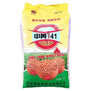 中黄41黄豆种子大豆种子 高产黄豆种籽大粒抗病国产大豆种子基地