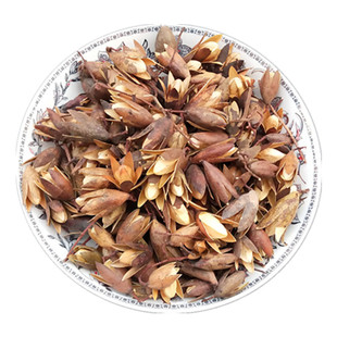 中药材香椿子野生 椿树子 香椿果香菱子 香椿果实新货500克包邮