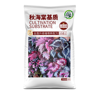 秋海棠专用有机营养土秋叶海棠花观叶植物专用营养土疏松透气花土