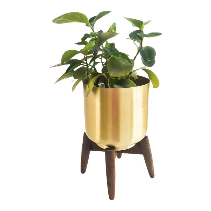 MOSSGARDEN北欧金色黄铜色花盆