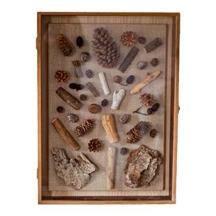 岩璞实木标本相框蝴蝶树叶贝壳收纳展示框相片干花框diy中空画框