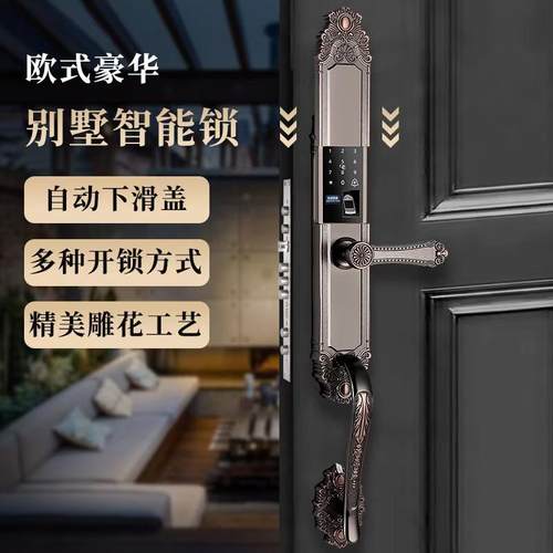 欧式遥控别墅对开大门防盗门智能锁双开门通用指纹密码锁防水防冻