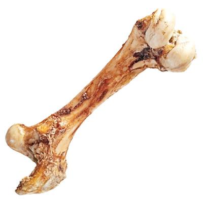 宠物磨牙棒大型犬牛骨头狗狗零食