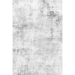 2026春意式极简轻奢风防水地毯客厅卧室茶几免洗可擦易打理地垫子