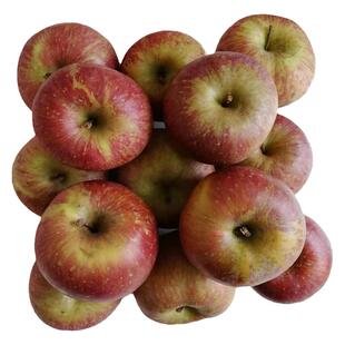 新鲜苹果青苹果正宗丽江丑苹果宁蒗丑苹果泸沽湖苹果净重4斤9斤