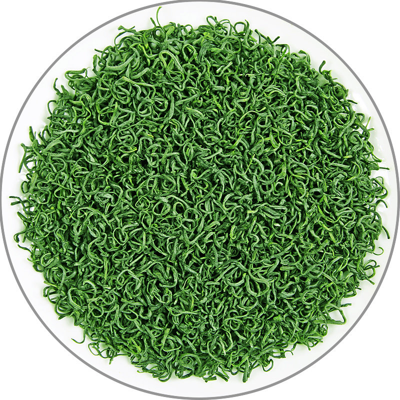 2026年新茶明前毛尖贵州日照足高山云雾茶叶浓香型耐泡绿茶500g