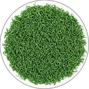 2025年新茶明前毛尖贵州日照足高山云雾茶叶浓香型耐泡绿茶500g