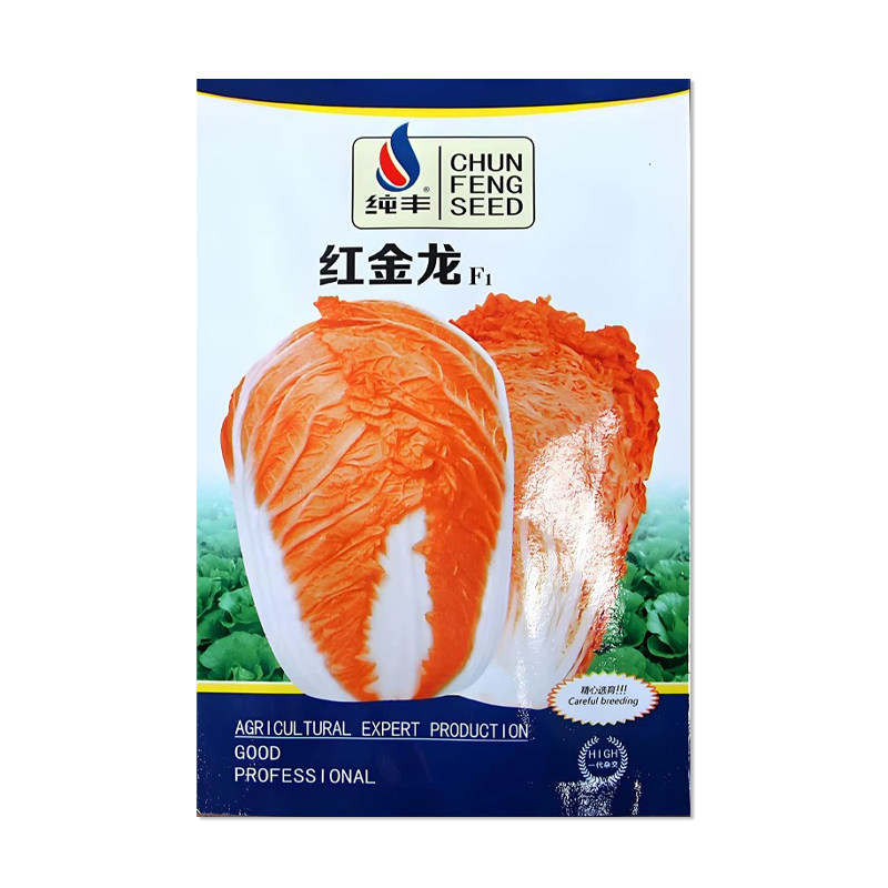 纯丰红金龙大白菜种子
