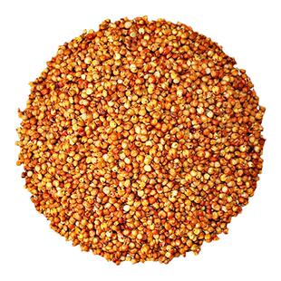 新高粱带皮未脱皮红高梁酿酒酿醋高粱喂鸽子饲料鸟粮包邮 5送半斤