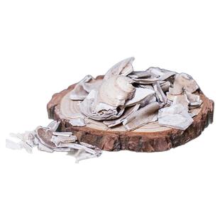 蛤壳中药材500g250g新货海蛤海蛤壳海蛤粉蛤壳精选大个海蛤整个