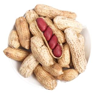 高产四粒红花生种子种籽苗黑红皮黑皮花生米孑子薄壳大粒新鲜大全