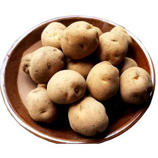 【老品种】正宗恩施小土豆湖北富硒土豆马尔科农家新鲜高山洋芋