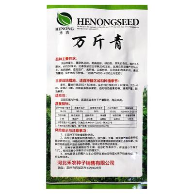 泰国无筋架豆王豆角无丝豆芸豆