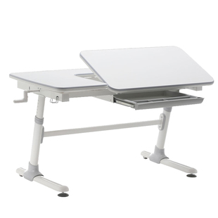 威尔Well儿童学习桌家用学生写字书桌可升降办公电脑桌小孩课桌子