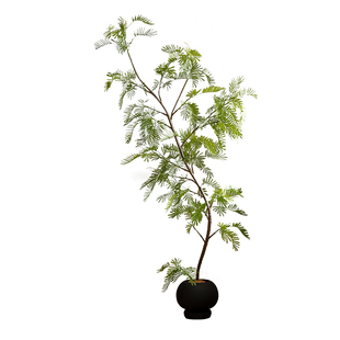 森空间仿真绿植室内客厅角落沙发旁植物装饰摆件轻奢风密尔猴耳环