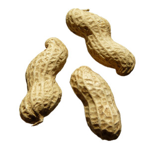 广东花生白晒盐水咸干熟水煮日晒花生原味 零食坚果小吃1000g包邮