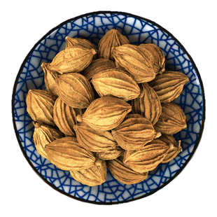 香砂仁中药材小药仙正品香料四川香砂仁果干非野生香砂仁粉调味料