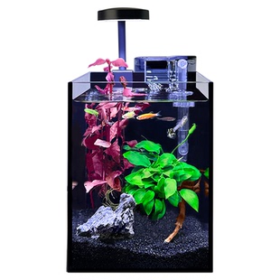 桌面鱼缸小型客厅斗鱼鱼缸过滤制氧一体机生态水草植物造景玻璃缸