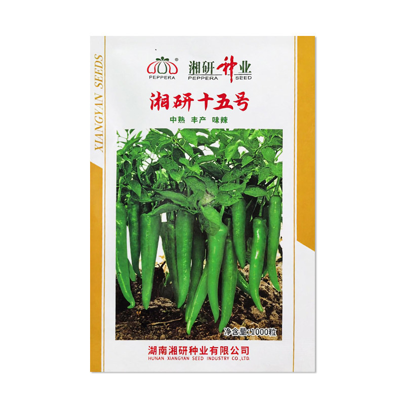 湘研十五号辣椒种子牛角椒