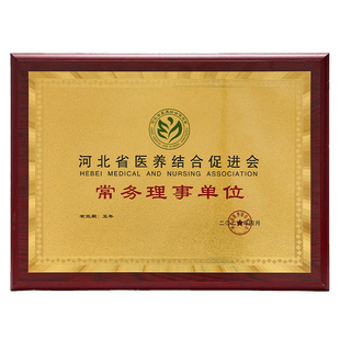 金箔奖牌授权牌荣誉牌匾木托铜牌优秀供应商奖牌订制颁制作荣誉牌匾定做优秀会员企业单位经销商合作伙伴加盟