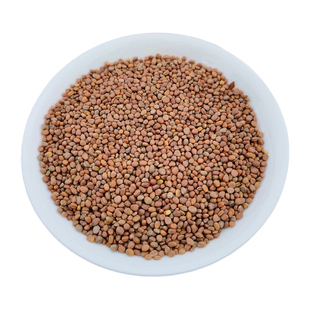 山区农家莱菔子萝卜籽来服子罗卜子萝白子菜头子野外生长无硫药材