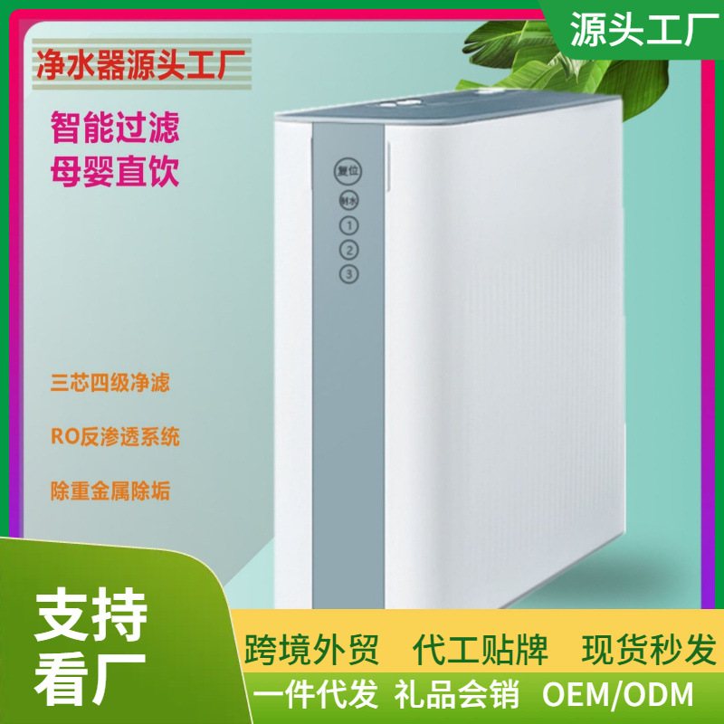 反渗透过滤RO家用净水器 集成水路100G直饮纯水机批发直饮机