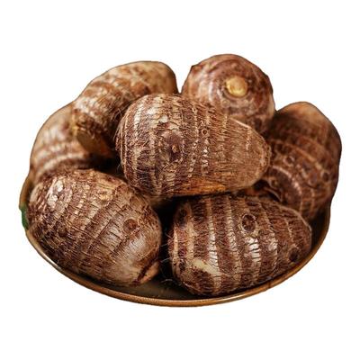 2025新挖现挖新鲜牛奶芋头山东小芋头仔芋艿小香芋芋粉现挖早餐