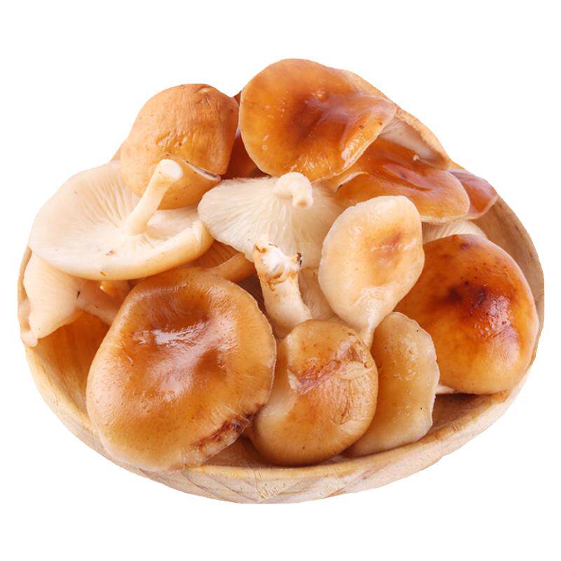 当季时令食用菌菇蘑菇野生香覃