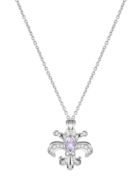 精致通勤版的鸢尾花锁骨链来啦～