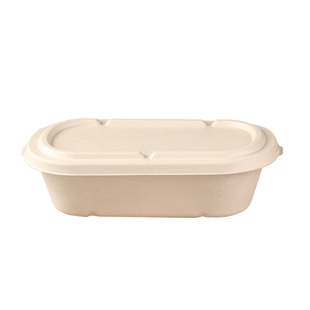 一次性打包盒环保可降解单双格外卖快餐盒便当盒饭盒纸浆餐具带盖