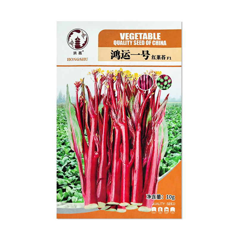 洪蔬鸿运一号红菜苔种子