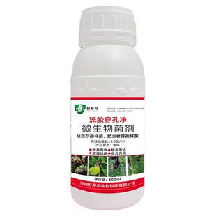 流胶穿孔净桃树流胶病专用果树通用树胶溃疡腐烂病穿孔净