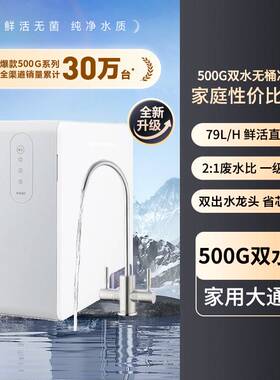 家用500g大流量无桶净水器 家用ro反渗透直饮净水机 自来水过滤器
