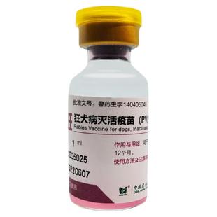 中牧狂犬疫苗狗狗泰迪博美拉布拉多犬通用宠物狂犬病育苗预防针