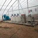 智能水肥一体机厂货 多通道水肥一体化施肥机 全自动农业灌溉设备