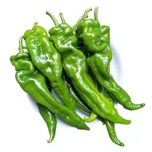 【老客专享】新鲜薄皮螺丝椒青辣椒农家自种现摘新鲜蔬菜皱皮辣椒
