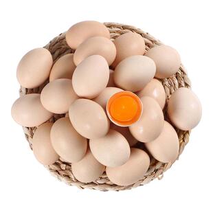 岗淮散养土鸡蛋谷物鲜鸡蛋30枚50枚正宗林地新鲜包邮乌柴笨草现捡