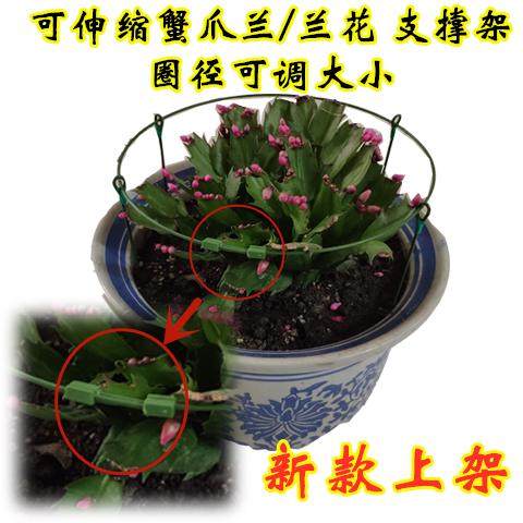 蟹爪兰支架子可伸缩调大小嫁接拢花架兰花架一单层支撑枝架蟹甲兰