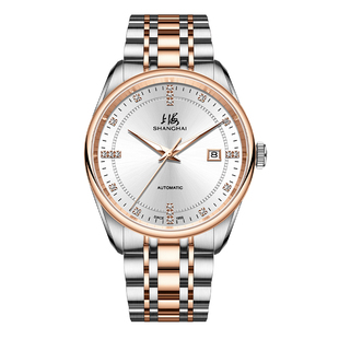 上海(SHANGHAI)手表男十大品牌手表自动机械国产防水腕表3007