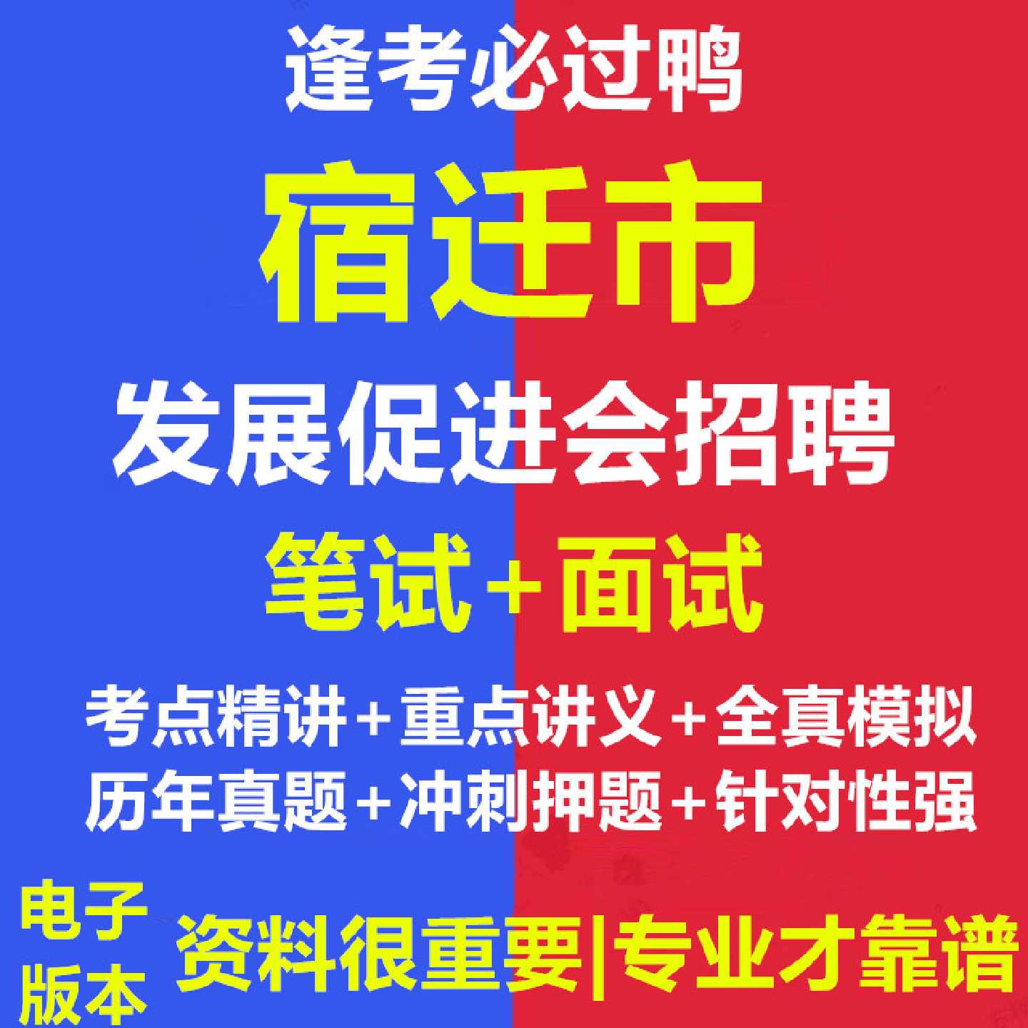 2026年宿迁市发展促进会招聘劳务派遣人员考试资料笔试面试真题库