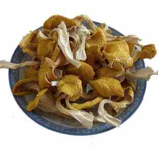 云南鸡油菌干货 黄金菇榆黄菇香菇山珍土特产250g包邮 野生黄丝菌