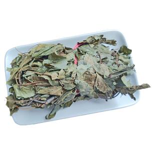 新鲜枫树叶500g枫香中药风树干产去风坐月子洗澡大八角叶中草药