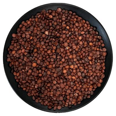 酸枣仁中药材饱满大粒正品！